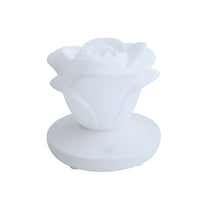 Blossom Glow Rose Night Light