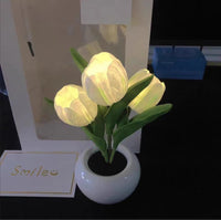 Blooming Tulip Glow Lamp