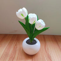 Blooming Tulip Glow Lamp