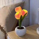 Blooming Tulip Glow Lamp