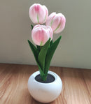 Blooming Tulip Glow Lamp